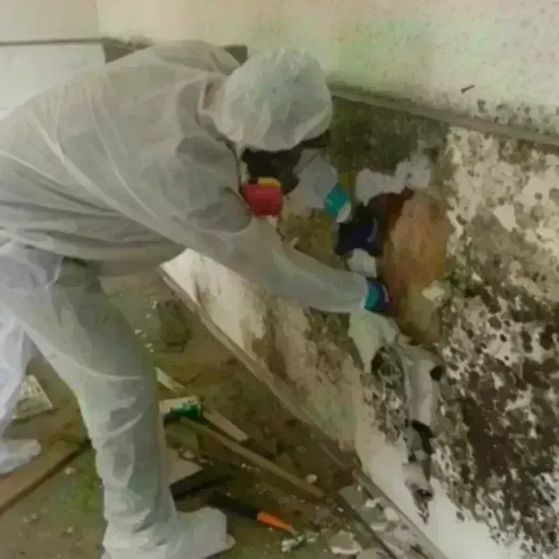 Mold Remediation and Removal in South Old Bridge, NJ